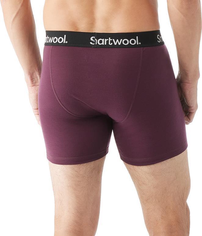 Everyday Merino Boxer Brief - Mens - Eggplant 3