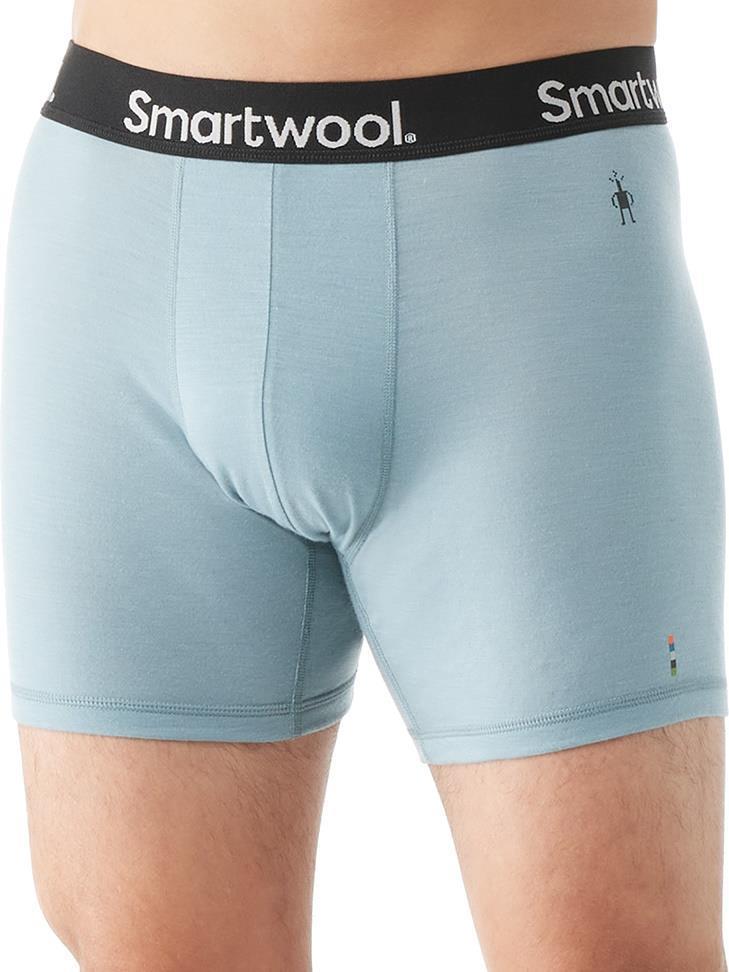 Everyday Merino Boxer Brief - Mens - Lead 2