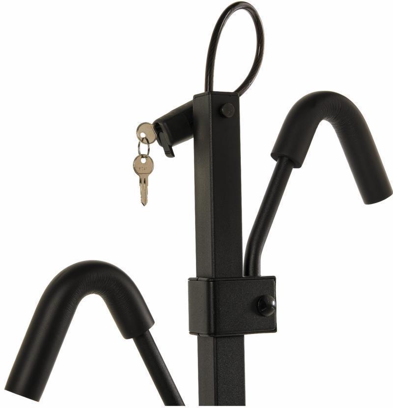 Pin & Cable Lock - black 1