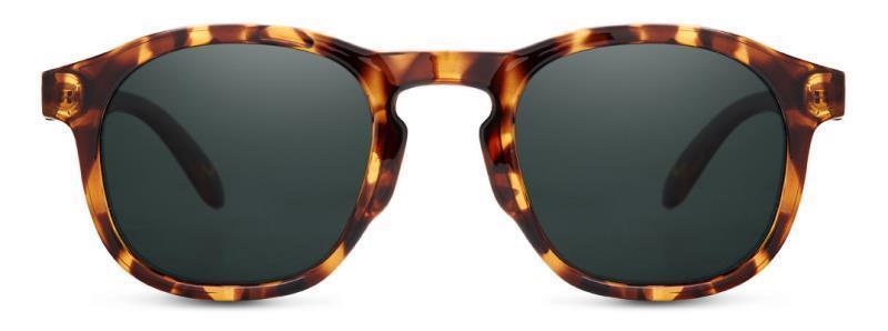 Foothills, Tortoise Frame, Forest Lens - Not Applicable 1