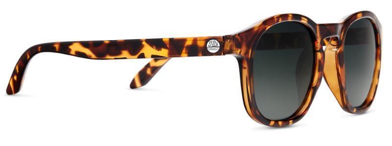 Foothills, Tortoise Frame, Forest Lens - Not Applicable 3