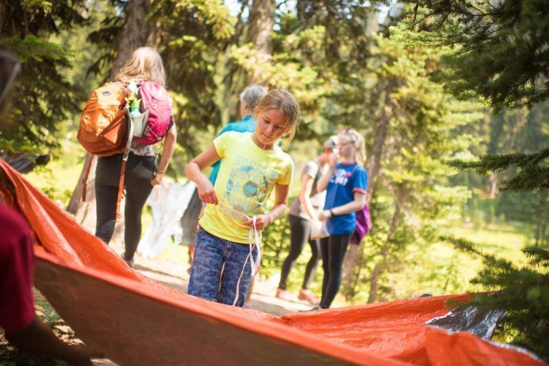 Emergency Blanket - Not Applicable 7