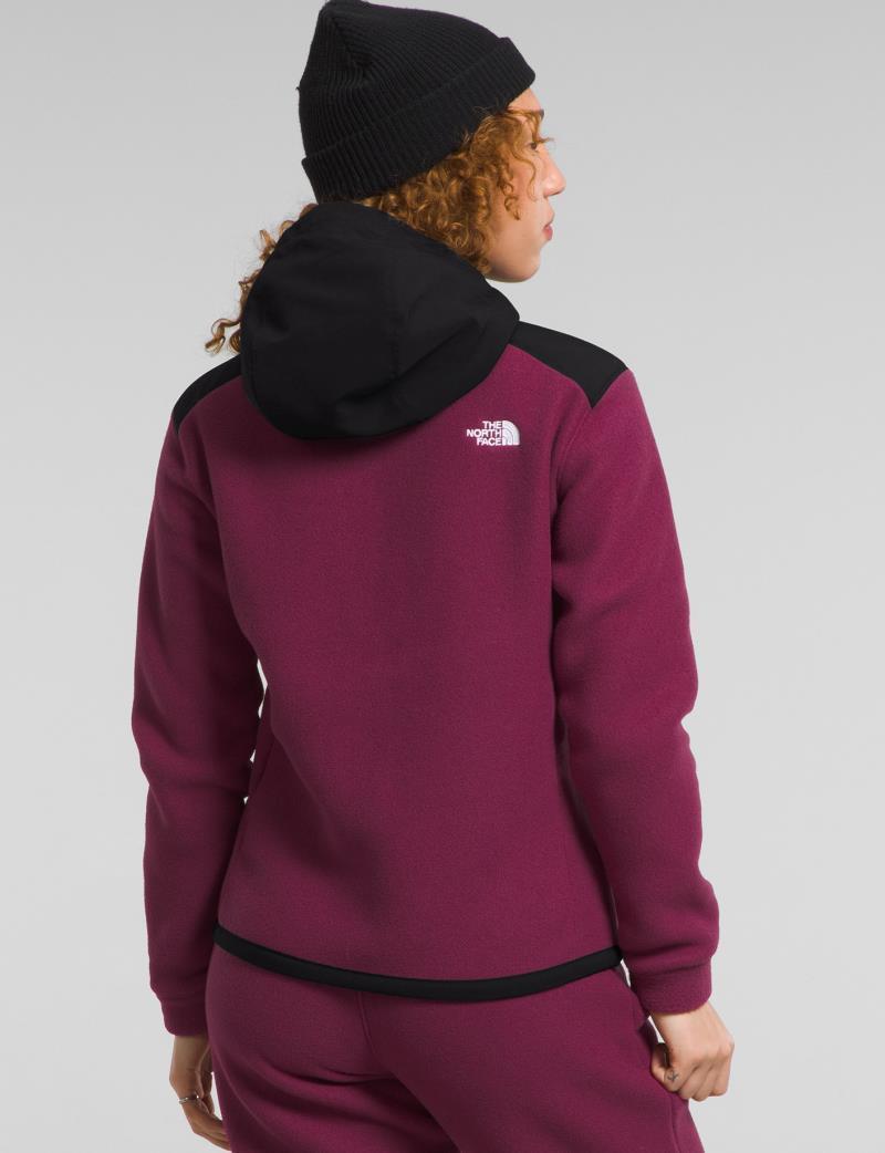 Alpine Polartec 200 Full Zip Hooded Jacket - Womens - Boysenberry / TNF Black 2