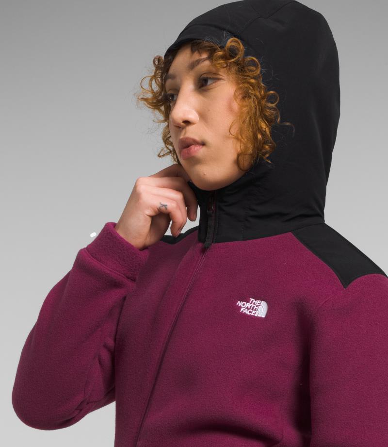 Alpine Polartec 200 Full Zip Hooded Jacket - Womens - Boysenberry / TNF Black 3