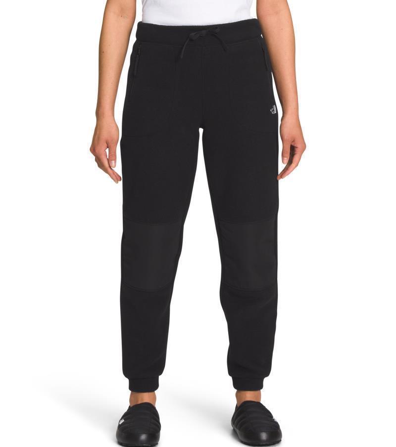 Alpine Polartec 200 Pants, Reg - Womens - TNF Black 1