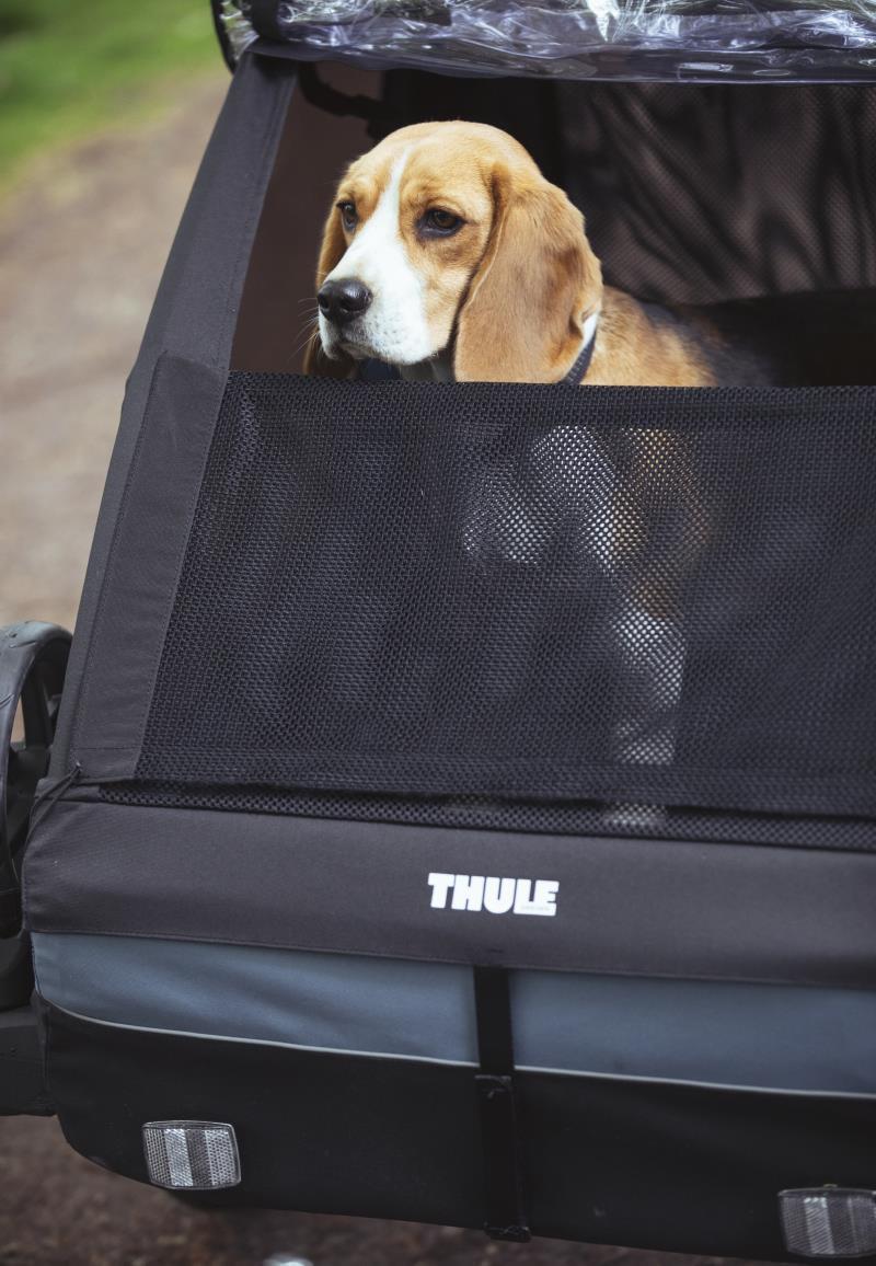 Courier Pet Kit - Aegean Blue 3