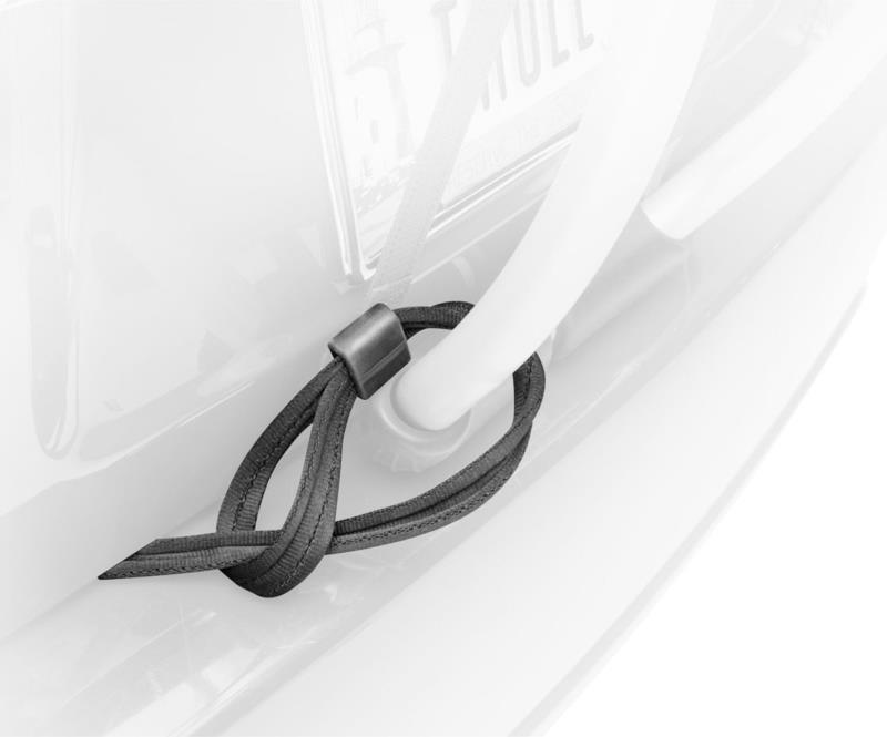 Passive Lock Strap - Black 1