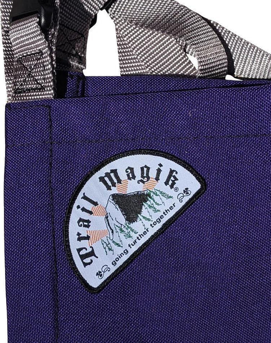 Kid Carrier - Purple / Silver 1