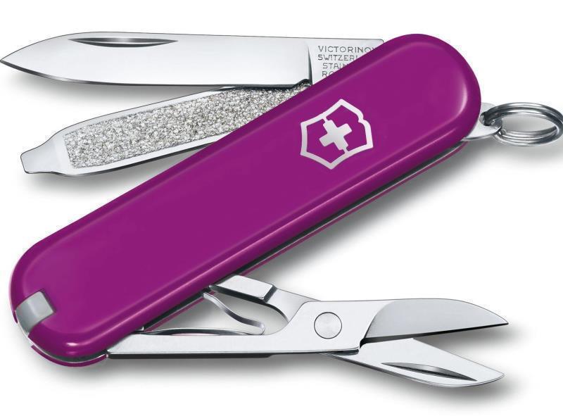 Classic SD - CC Boxed - Tasty Grape Purple 1