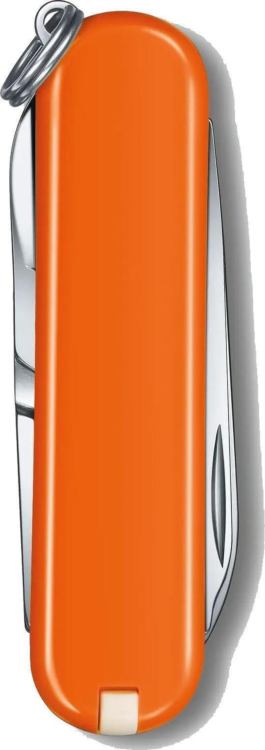 Classic SD - Mango Tango Orange - Boxed - Not Applicable 2