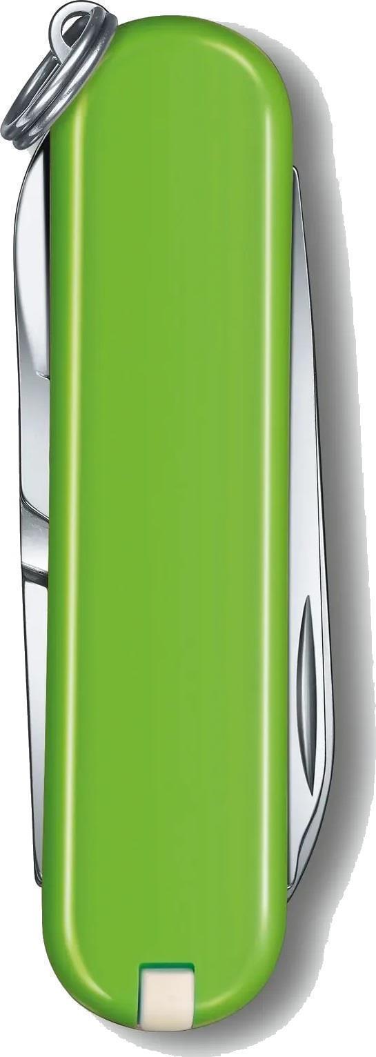 Classic SD - Smashed Avacado Green - Boxed - Not Applicable 2