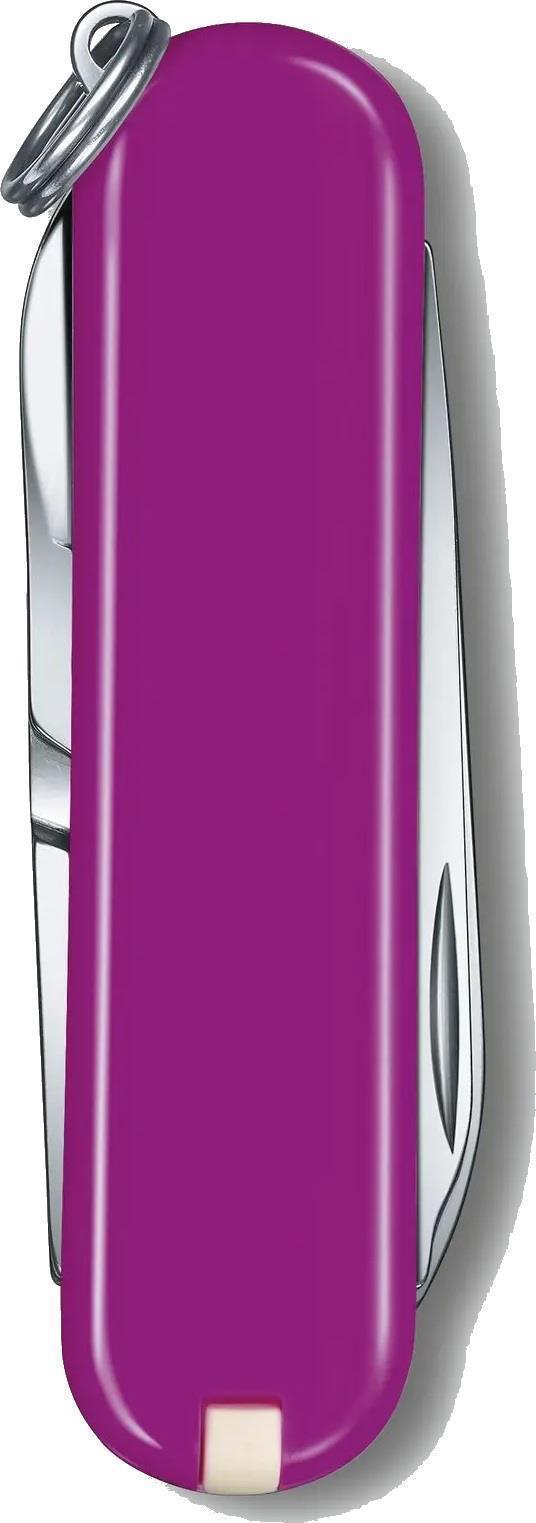 Classic SD - Tasty Grape Purple - Boxed - Not Applicable 2