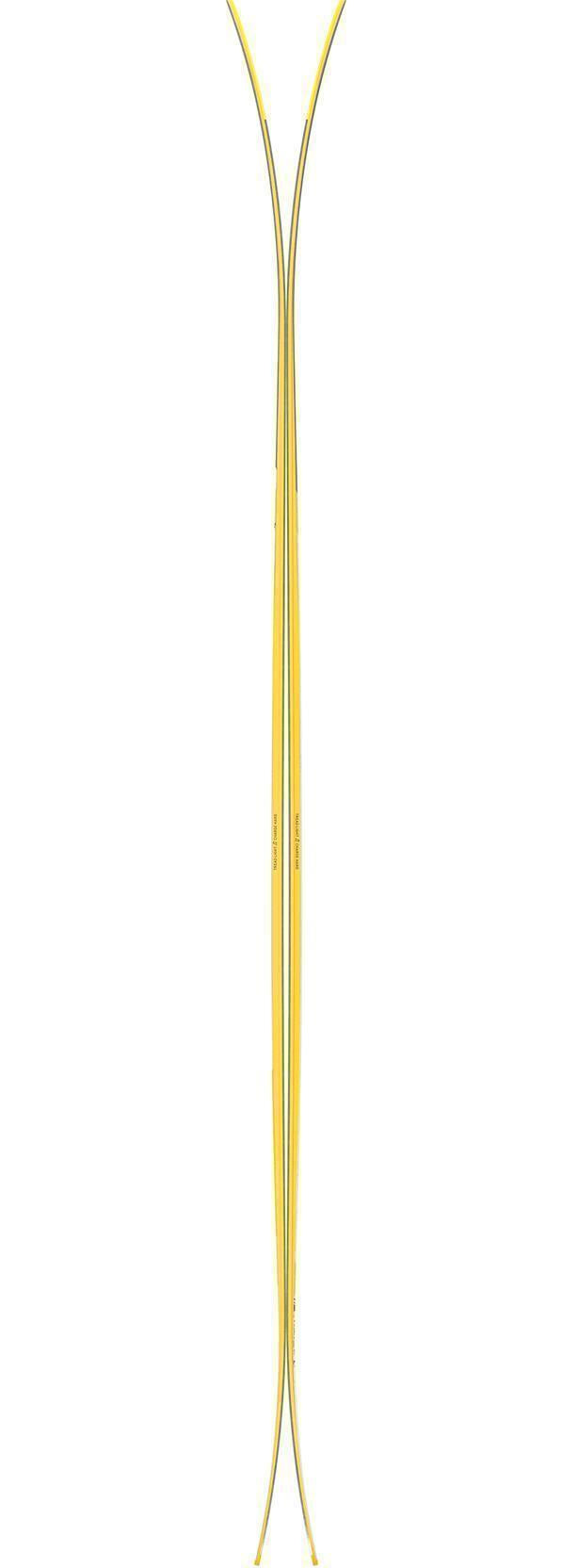 Vital 100 Ski - 21/22 - Not Applicable 3